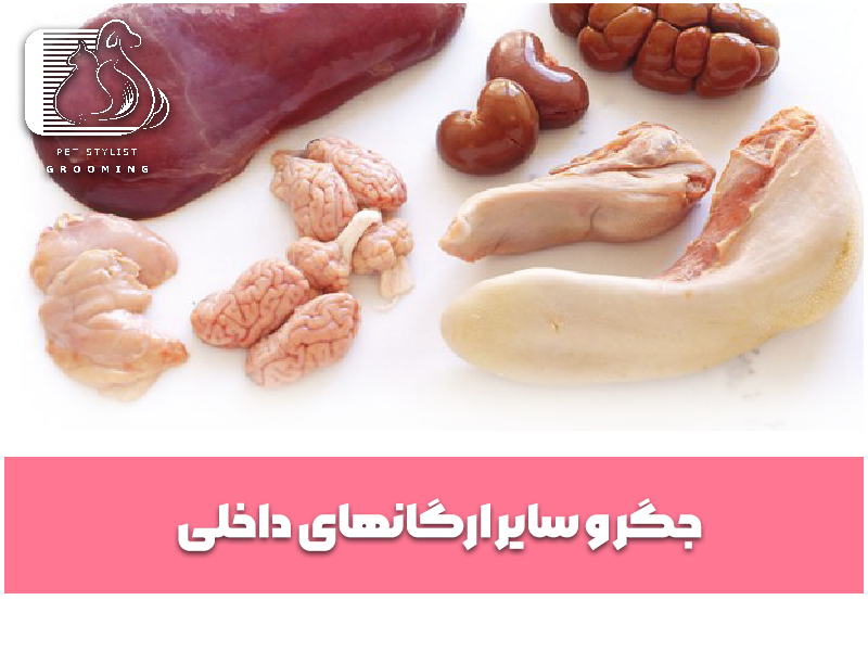 جگر و دیگر اندام‌های ترشح‌ساز